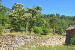 Chambres d'hôtes avec jardon et piscine proche Anduze