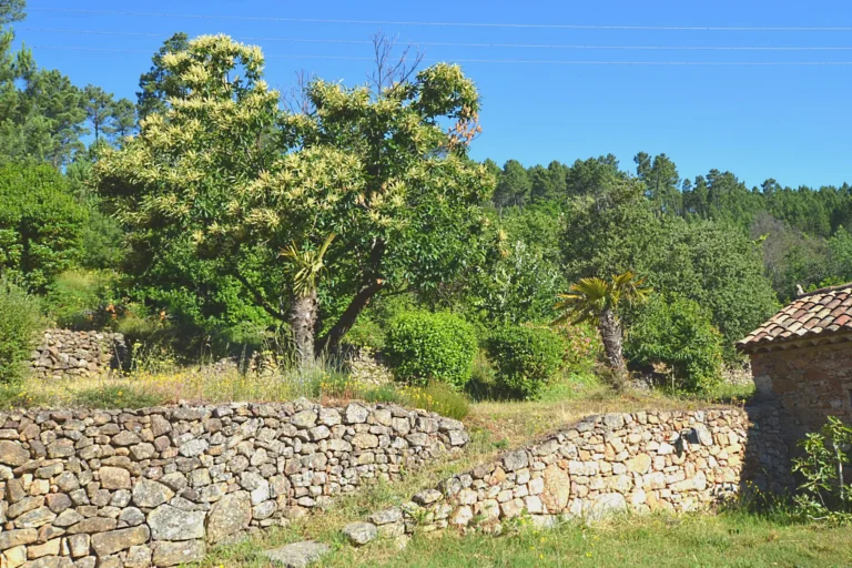 Chambres d'hôtes avec jardon et piscine proche Anduze