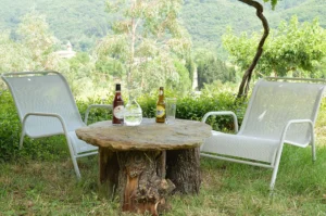 Parc arboré Mas des Druilles proche Anduze