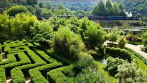 Chambres d'hôtes proche Bambouseraie