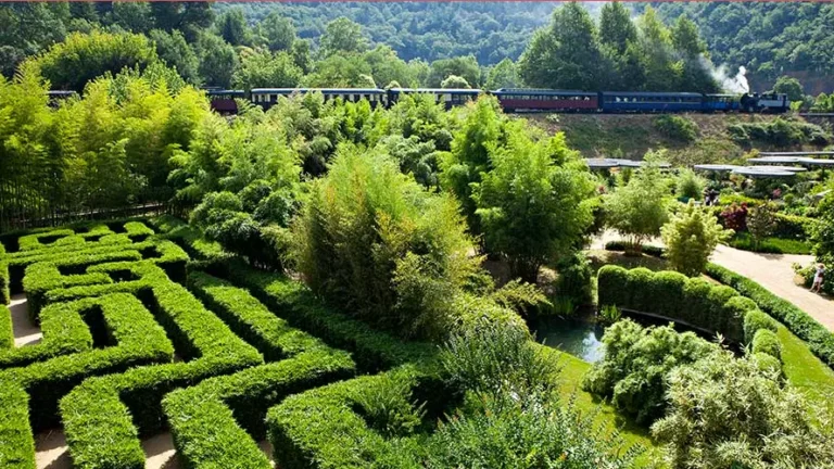 Chambres d'hôtes proche Bambouseraie