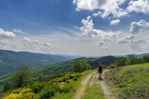 Maison d'hôtes Cévennes randonnée